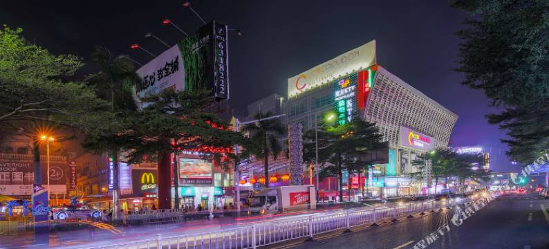 东莞石龙金龙酒店图片