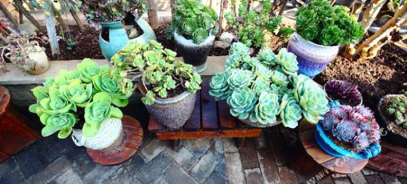 会理云崖文化酒店图片