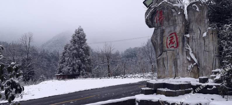 重庆金佛园酒店图片