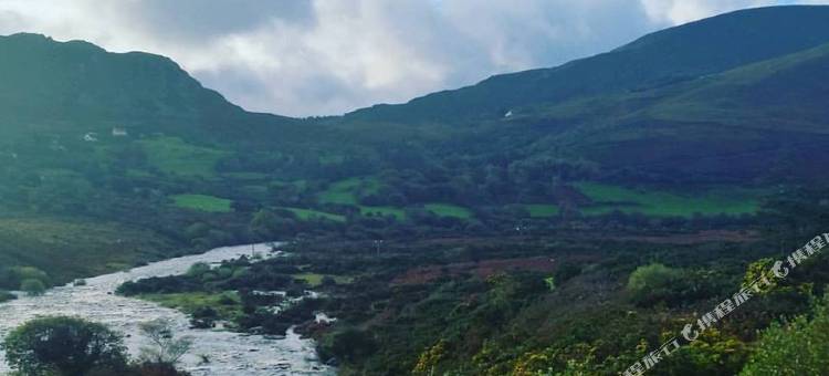 纽瓦克国际机场SpringHill Suites酒店(SpringHill Suites by Marriott Newark International Airport)图片