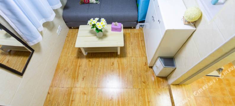 家禾居公寓NO.2图片