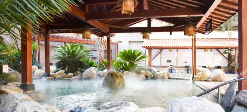 汤连得温泉酒店(上海118店)图片