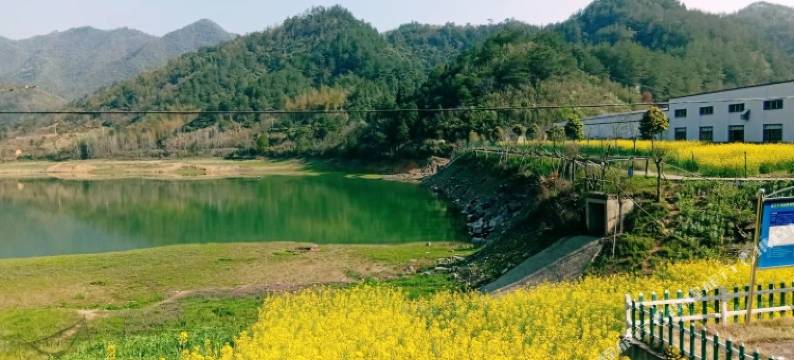 千岛湖映湖阁农庄图片