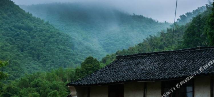 莫干山姜湾8号民宿图片