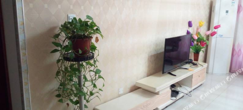 柳絮儿公寓(德州运河公园店)图片