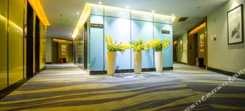 崇阳伊美国际酒店图片