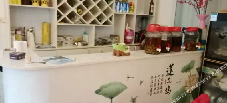 雅安山村奇迹山庄图片