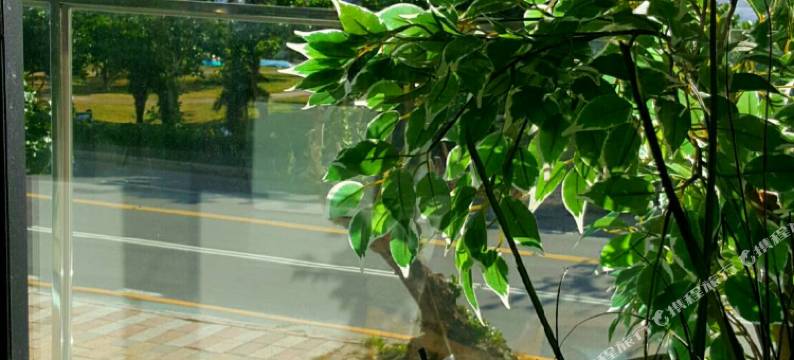 屏东湛蓝海岸民宿图片