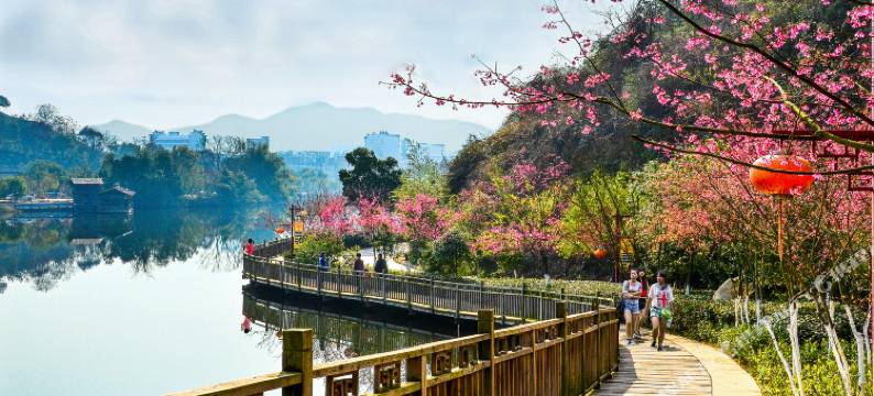 赣州五龙客家风情园龙安围酒店图片