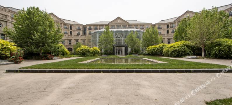 天津滨海艾尔博国际酒店图片