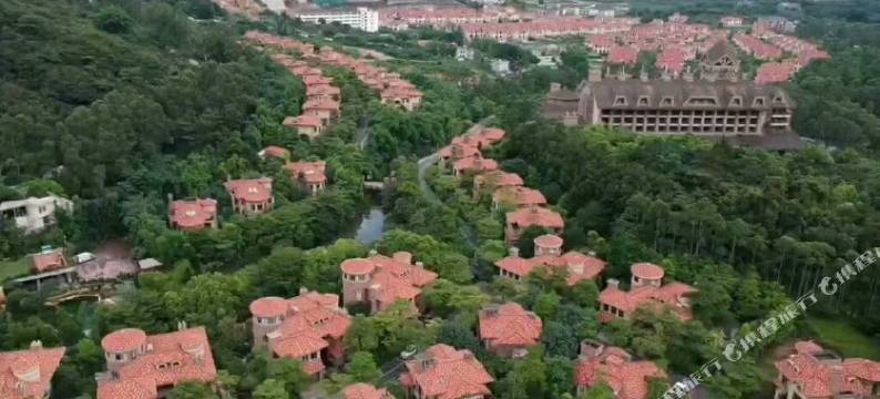 广州白水寨雅悦居温泉泳池度假别墅(金叶子店)图片