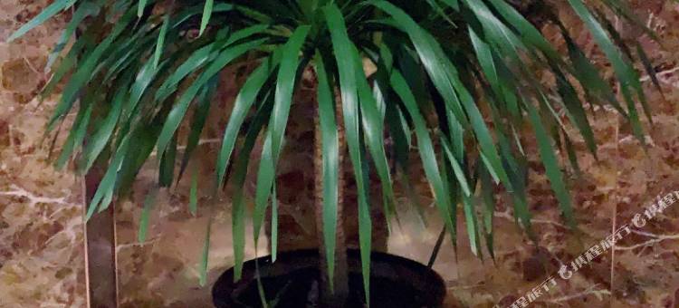 海林普罗旺斯精品酒店图片