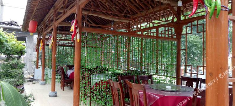 天水朱婷农家乐图片