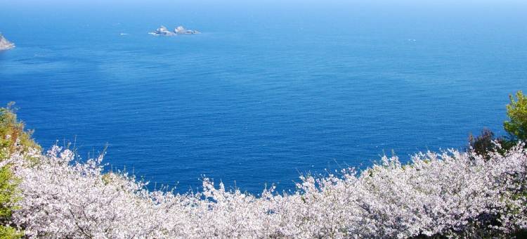 熊野之宿海光(Kumano No Yado Umihikari)图片