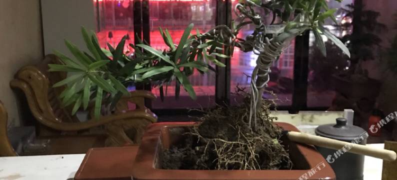 枣阳龙成宾馆(光武路店)图片