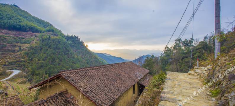 松阳花开梨树下民宿图片