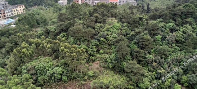 防城港小大旅行候鸟公寓防城港(5号店)图片