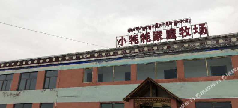 青海湖小牦牦家庭牧场图片