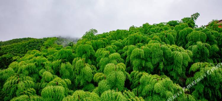 安吉尘栖民宿图片