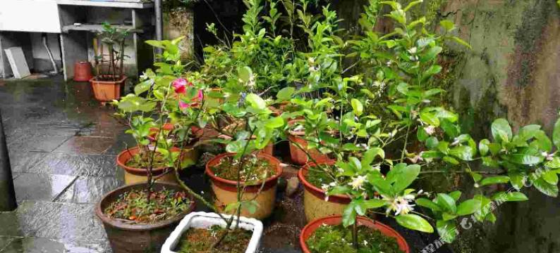 婺源清华宾馆图片