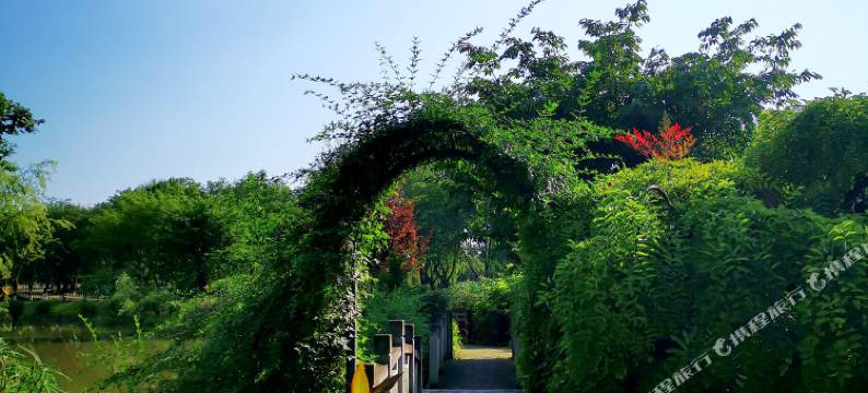 川视宝光宾馆(宝光寺店)图片