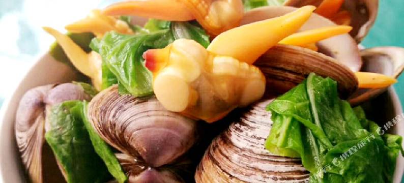 日照旅友家园渔家图片