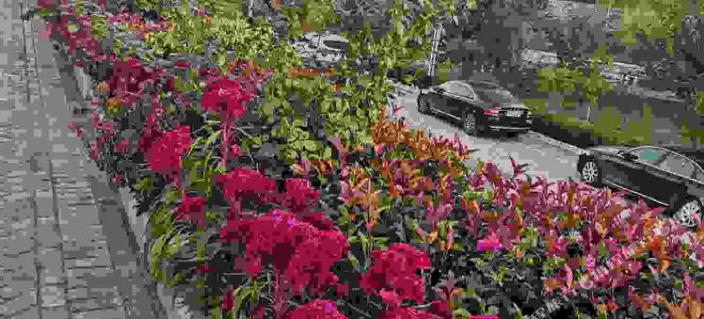 林州森淼鱻生态庄园图片