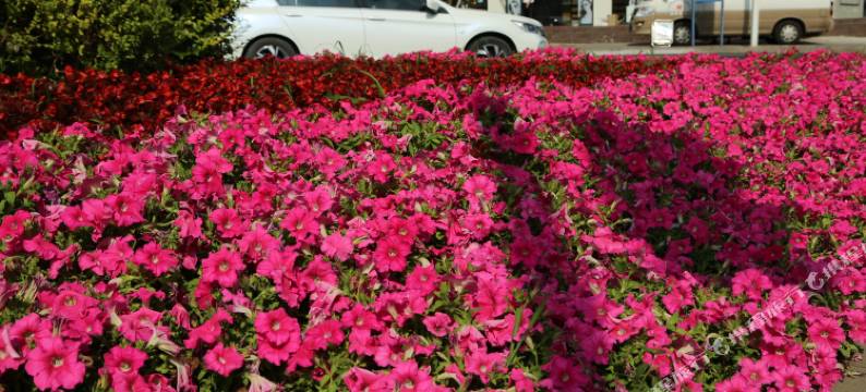 宇佳宾馆(大连交通大学店)图片