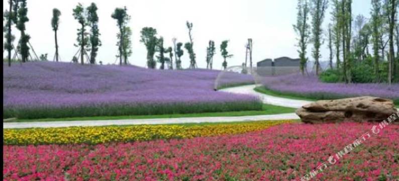 成都牛棚公寓(洪河地铁站店)图片