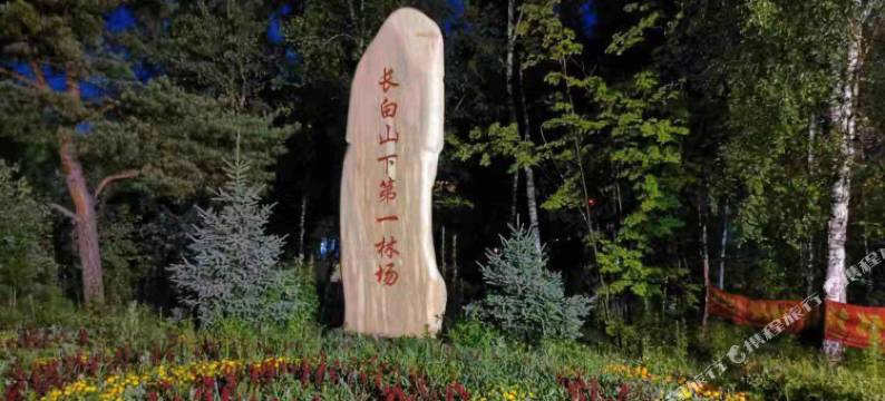 天池东北农家乐(长白山黄松蒲检票大厅店)图片