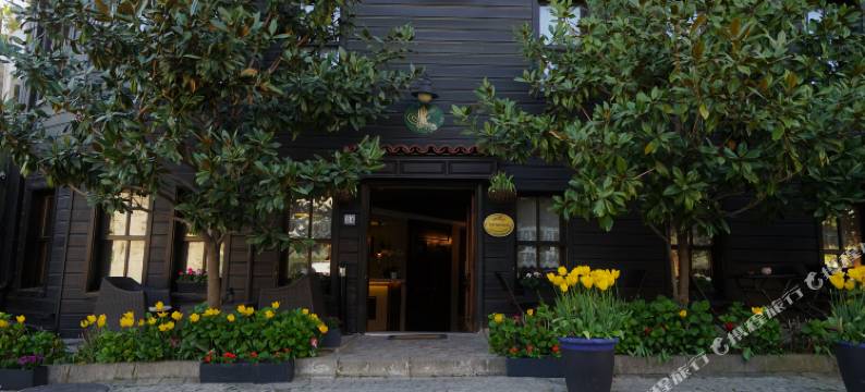 玉素帕萨康纳吉酒店(Yusufpasa Konagi - Special Class)图片