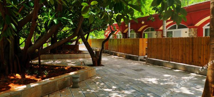 元谋土林宾馆图片