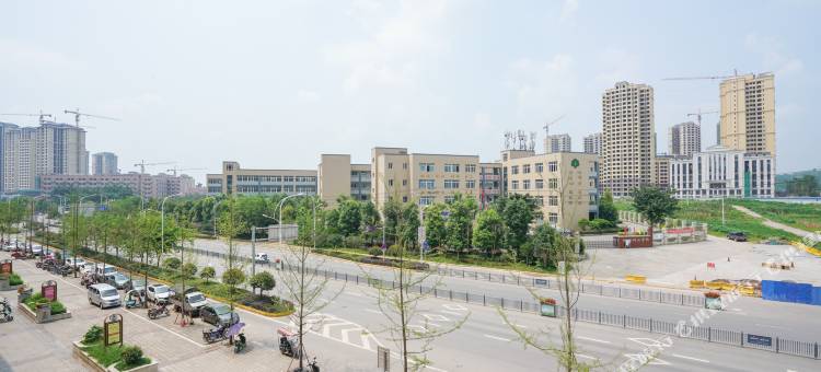 荣县梧之桐酒店图片