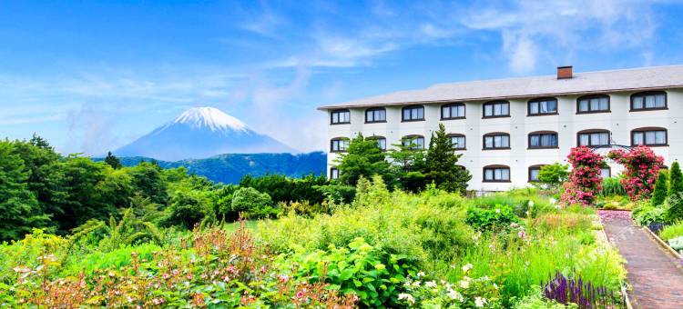 箱根绿色广场酒店(Hotel Green Plaza Hakone)图片