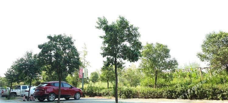 森林氧吧主题宾馆(洛阳衡山路店)图片