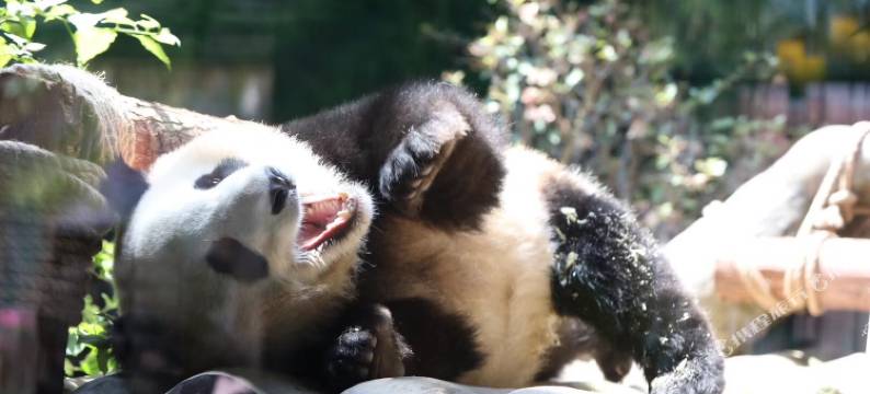 厦门灵玲大酒店图片