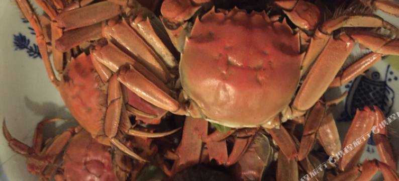 盘锦树春农家院民宿图片