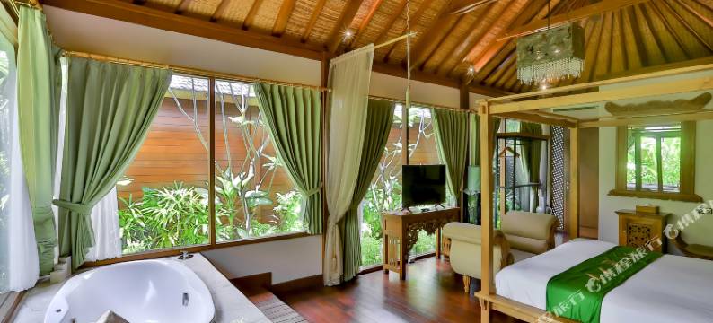 迪西尼别墅酒店(DISINI Luxury Spa Villas)图片