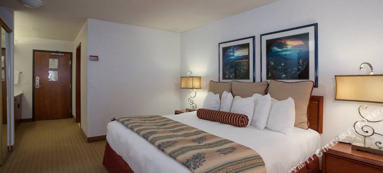 欧圣肖斯希洛套房酒店(Shilo Inn Suites Ocean Shores)图片