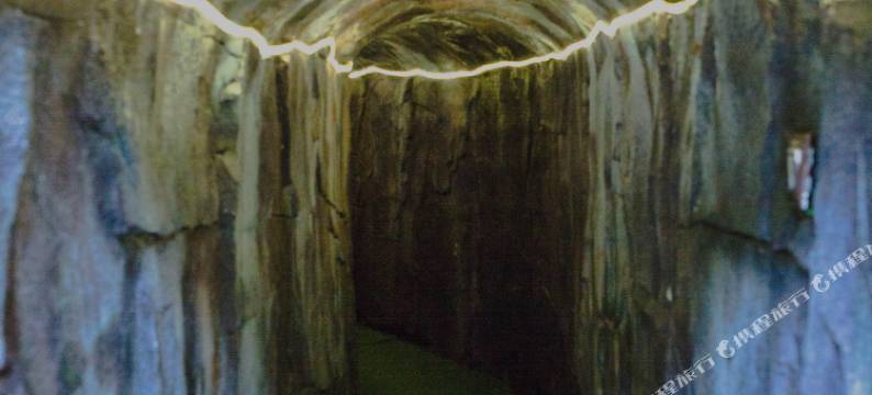 缙云龙门山庄图片