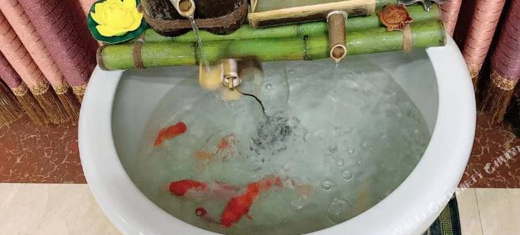 Z+南皮在水一方假日酒店图片