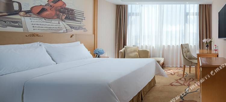 维也纳酒店(玉林容县古城桂南路店)图片