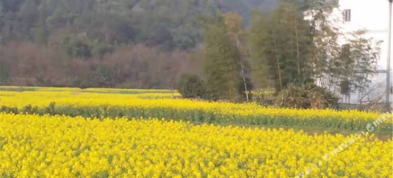 玉山瀛山民宿图片