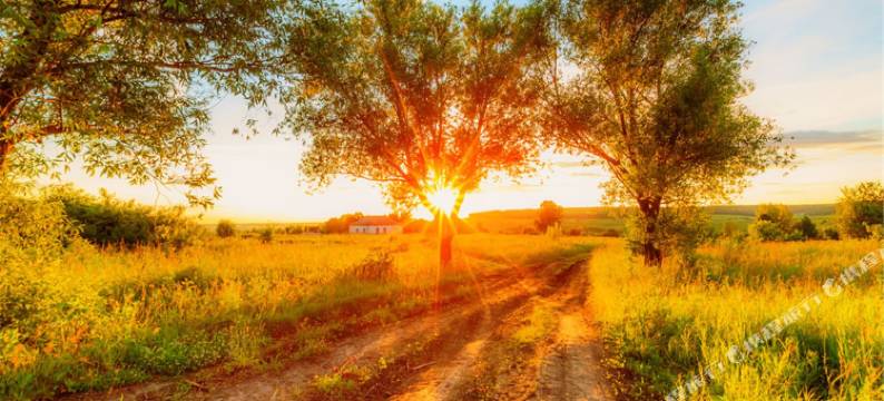 双牌唯尔娜主题酒店图片