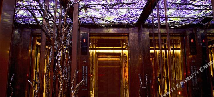 台北阿树国际旅店图片