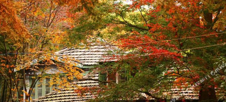 莫干山枫鹃谷忘山别墅图片