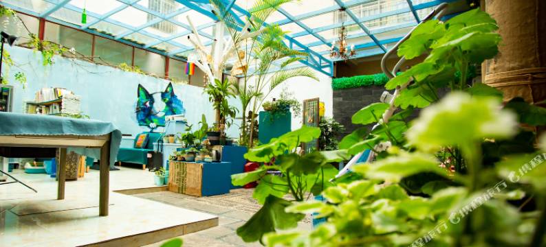 丽江丁公馆酒店图片