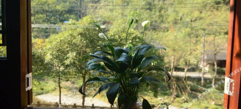 镇远听溪民宿图片