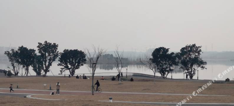 成都银杏公寓图片