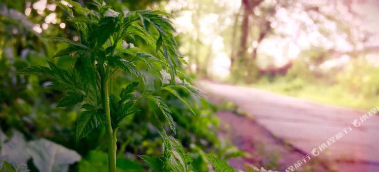 锦江之星(诸暨大唐店)图片